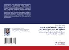 Micro Econometric Analysis of Challenges and Prospects kitap kapağı