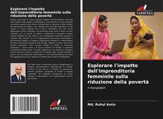 Bookcover of Esplorare l'impatto dell'imprenditoria femminile sulla riduzione della povertà