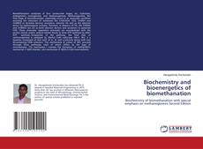 Buchcover von Biochemistry and bioenergetics of biomethanation