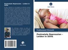 Copertina di Postnatale Depression – Leiden in Stille