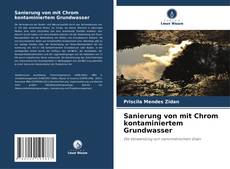 Sanierung von mit Chrom kontaminiertem Grundwasser的封面