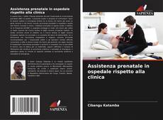 Buchcover von Assistenza prenatale in ospedale rispetto alla clinica