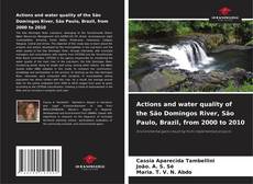 Portada del libro de Actions and water quality of the São Domingos River, São Paulo, Brazil, from 2000 to 2010