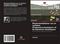 Borítókép a  Phytoremédiation via un système d'hyperaccumulateurs et de bactéries bénéfiques - hoz