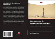 Couverture de Développement de compositions polyminérales