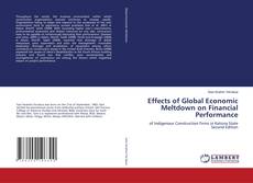 Effects of Global Economic Meltdown on Financial Performance kitap kapağı