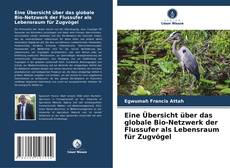Copertina di Eine Übersicht über das globale Bio-Netzwerk der Flussufer als Lebensraum für Zugvögel