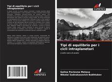 Copertina di Tipi di equilibrio per i cicli intraplanetari