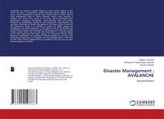 Disaster Management : AVALANCHE的封面