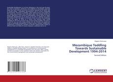 Mozambique Toddling Towards Sustainable Development 1994-2014的封面