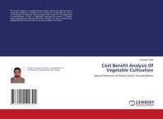 Capa do livro de Cost Benefit Analysis Of Vegetable Cultivation 