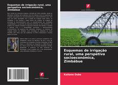 Esquemas de irrigação rural, uma perspetiva socioeconómica, Zimbábue的封面