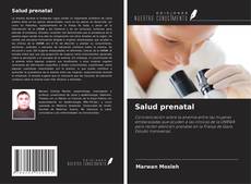 Bookcover of Salud prenatal