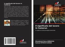 Copertina di Il significato del lavoro in Camerun