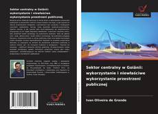 Copertina di Sektor centralny w Goiânii: wykorzystanie i niewłaściwe wykorzystanie przestrzeni publicznej