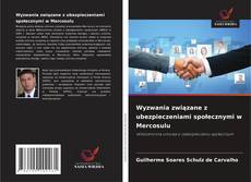 Wyzwania związane z ubezpieczeniami społecznymi w Mercosulu的封面