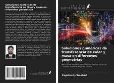 Borítókép a  Soluciones numéricas de transferencia de calor y masa en diferentes geometrías - hoz