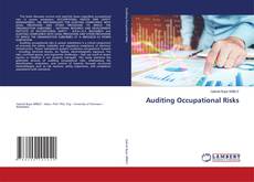 Buchcover von Auditing Occupational Risks