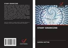 STANY GRANICZNE的封面