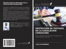 Copertina di PROTECCIÓN DE TESTIGOS EN LA LEGISLACIÓN CONGOLEÑA