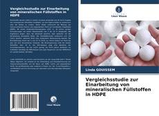 Vergleichsstudie zur Einarbeitung von mineralischen Füllstoffen in HDPE的封面
