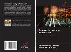 Copertina di Znaczenie pracy w Kamerunie