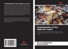Cephalopods of the Algerian coast kitap kapağı