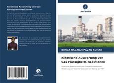 Обложка Kinetische Auswertung von Gas-Flüssigkeits-Reaktionen