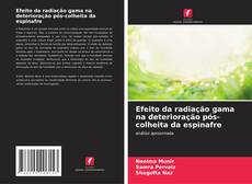 Couverture de Efeito da radiação gama na deterioração pós-colheita da espinafre