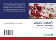 Sustainable Pomegranate Farming: A Biofertilizer & Jeevamrut Approach的封面