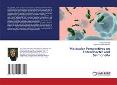 Copertina di Molecular Perspectives on Enterobacter and Salmonella