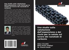 Copertina di Uno studio sulla valutazione dell'esposizione e dei rischi per la salute sul lavoro dei nanotubi di carbonio