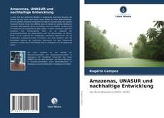 Amazonas, UNASUR und nachhaltige Entwicklung的封面