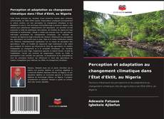 Buchcover von Perception et adaptation au changement climatique dans l'État d'Ektit, au Nigeria