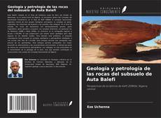 Copertina di Geología y petrología de las rocas del subsuelo de Auta Balefi