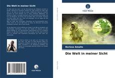 Couverture de Die Welt in meiner Sicht