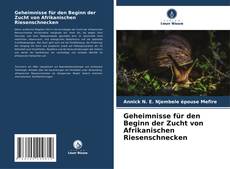Capa do livro de Geheimnisse für den Beginn der Zucht von Afrikanischen Riesenschnecken 