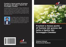 Copertina di Frazioni a basso punto di fusione del grasso del latte e lipolisi del formaggio Cheddar