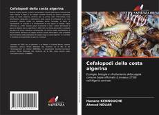 Copertina di Cefalopodi della costa algerina