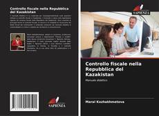 Copertina di Controllo fiscale nella Repubblica del Kazakistan