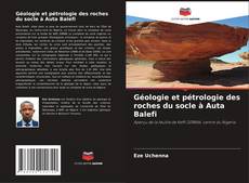 Bookcover of Géologie et pétrologie des roches du socle à Auta Balefi