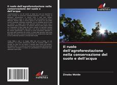 Copertina di Il ruolo dell'agroforestazione nella conservazione del suolo e dell'acqua