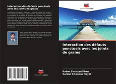 Couverture de Interaction des défauts ponctuels avec les joints de grains