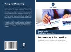 Management Accounting的封面