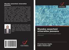 Buchcover von Wysoka zawartość minerałów Jeewanu
