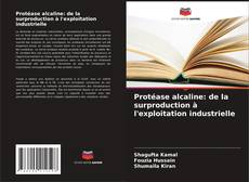 Couverture de Protéase alcaline: de la surproduction à l'exploitation industrielle