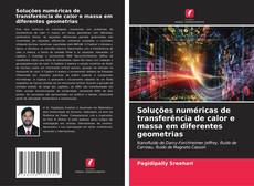 Bookcover of Soluções numéricas de transferência de calor e massa em diferentes geometrias