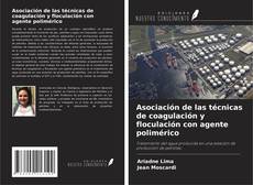Borítókép a  Asociación de las técnicas de coagulación y floculación con agente polimérico - hoz