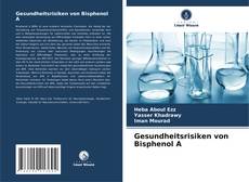 Couverture de Gesundheitsrisiken von Bisphenol A