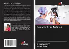 Copertina di Imaging in endodonzia